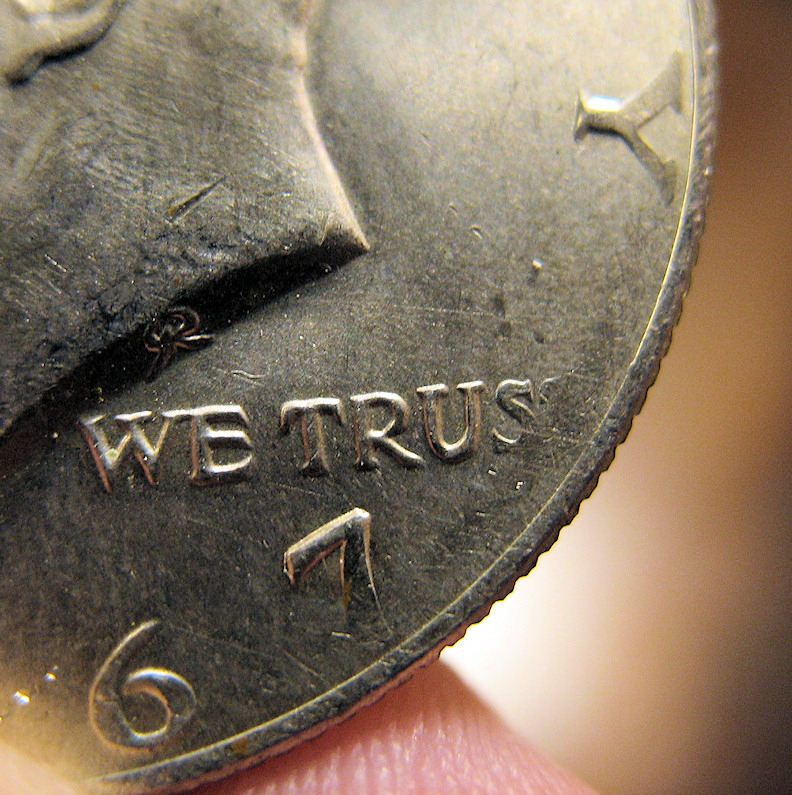 Does-Grease-Cause-This-On-A-Kennedy-Half?